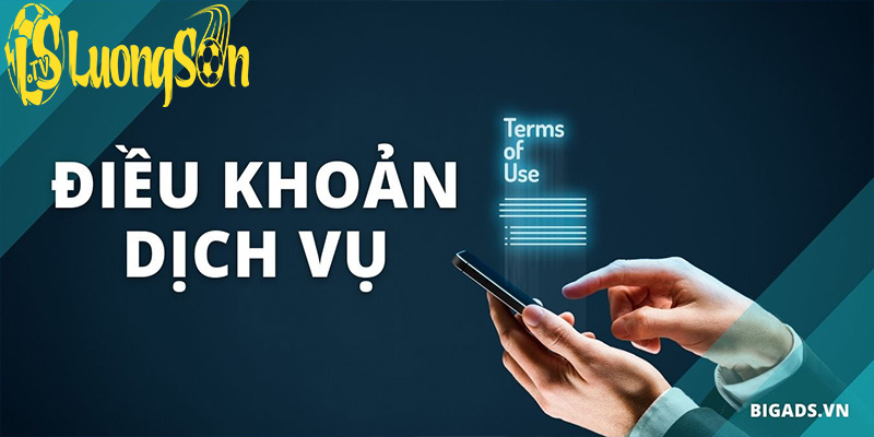 Tổng quan về điều khoản dich vụ tại trang web Luong Son