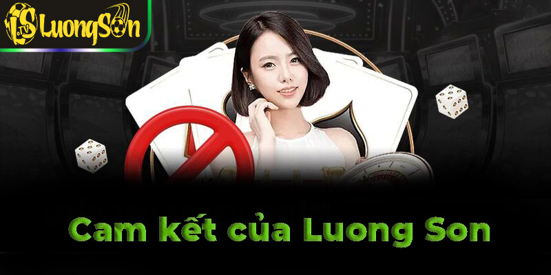 Cam kết của website Luong Son đối với người dùng